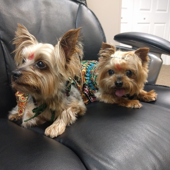 Meet your Posher, Seema - Picture 7 of 14